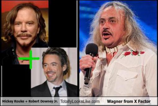 Totally Look Alikes Part IV (50 pics)