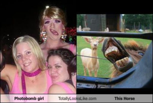 Totally Look Alikes Part IV (50 pics)