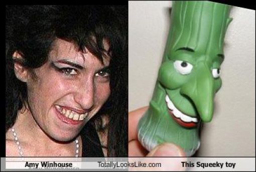 Totally Look Alikes Part IV (50 pics)