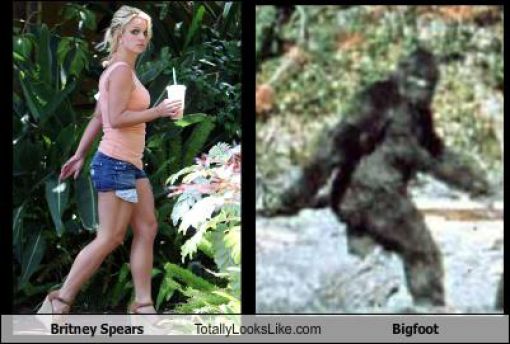 Totally Look Alikes Part IV (50 pics)