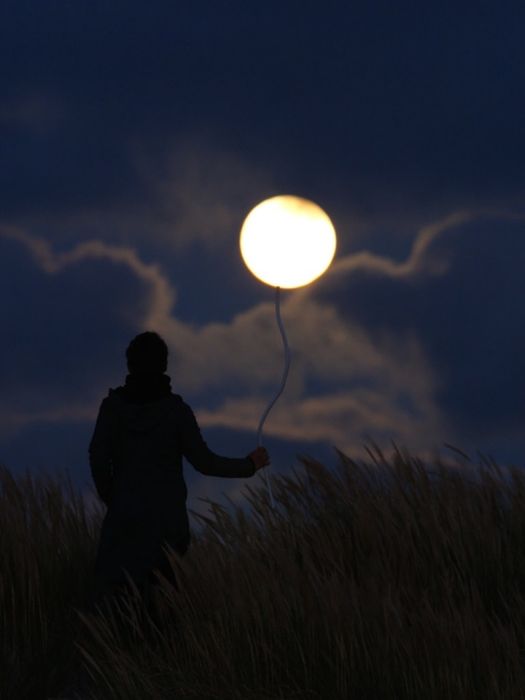 Charming Moon (16 pics)