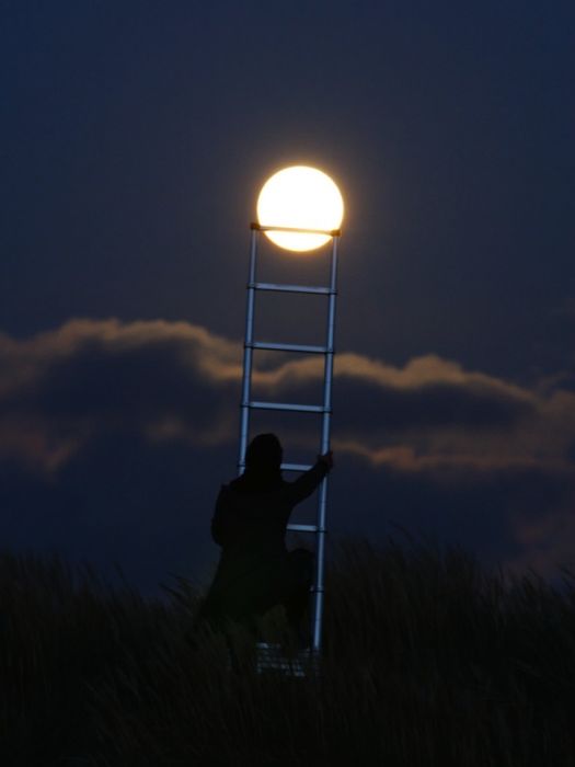 Charming Moon (16 pics)