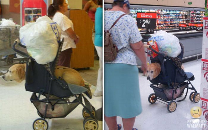 People of WalMart. Part 7 (94 pics)