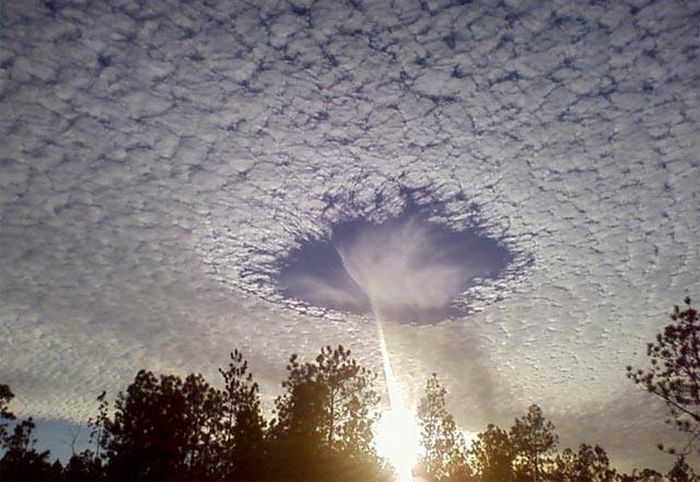 Acid Picdump (100 pics) Acid Picdump (100 pics)