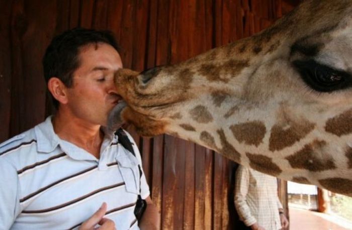 Acid Picdump (100 pics)