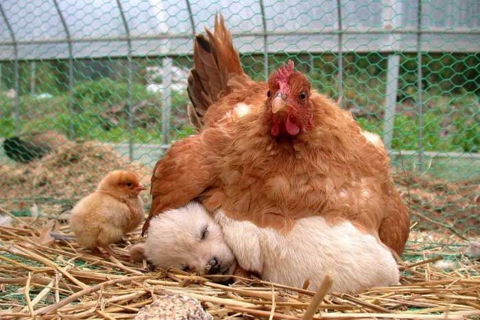 Acid Picdump (100 pics) Acid Picdump (100 pics)