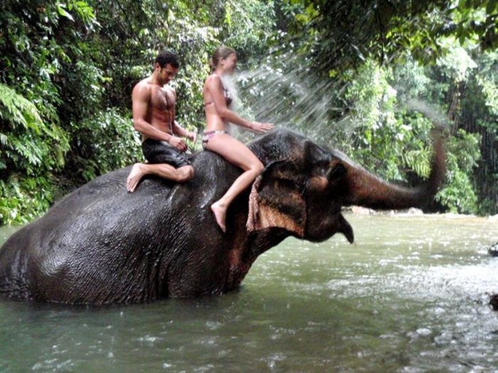 Acid Picdump (100 pics)