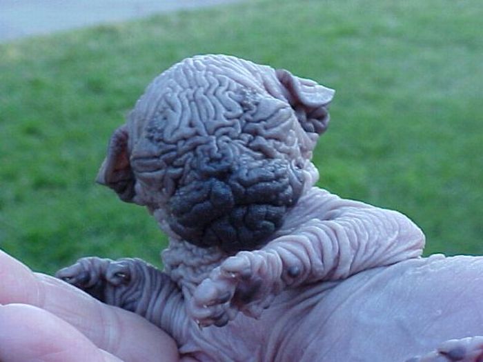 Acid Picdump (127 pics)