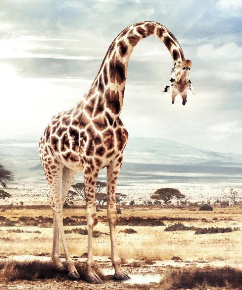 Acid Picdump (127 pics)