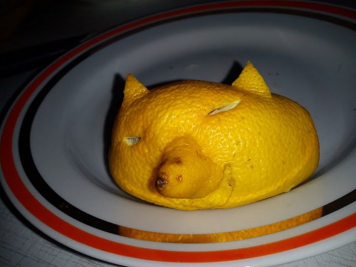 Acid Picdump (127 pics)