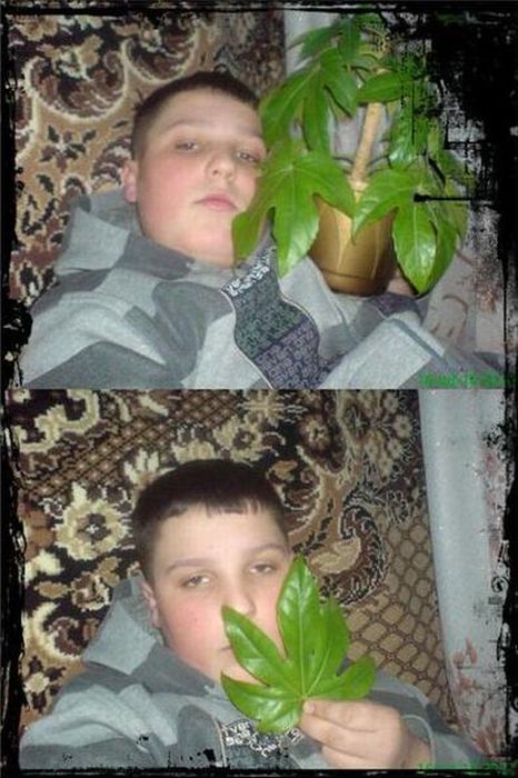 Acid Picdump (127 pics)