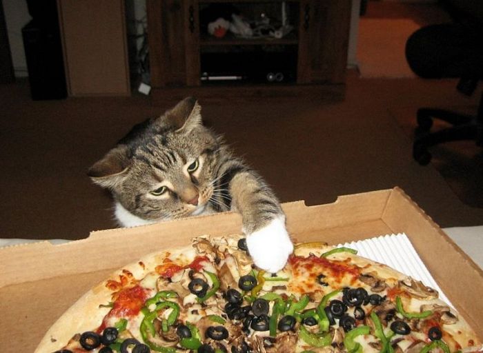 Acid Picdump (127 pics)
