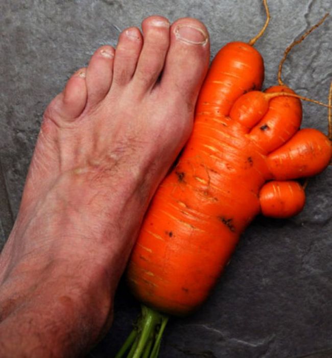 Acid Picdump (127 pics)