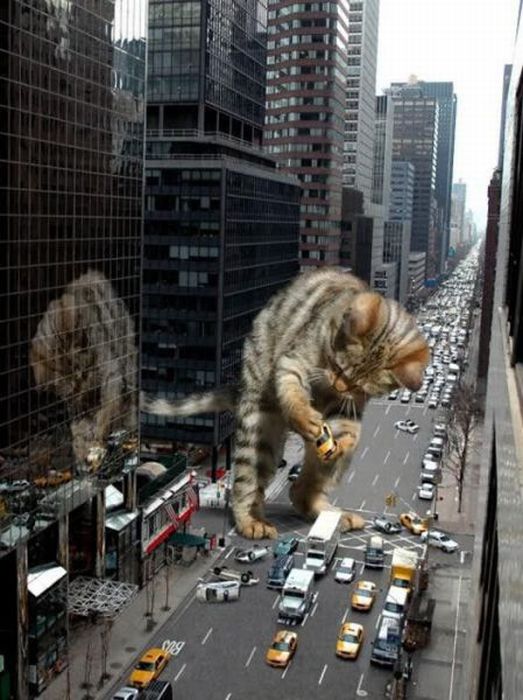 Acid Picdump (127 pics)