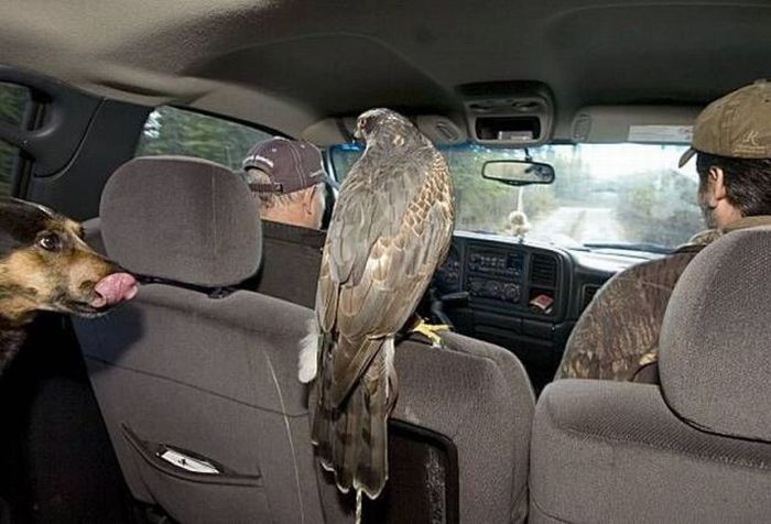 Acid Picdump (127 pics)