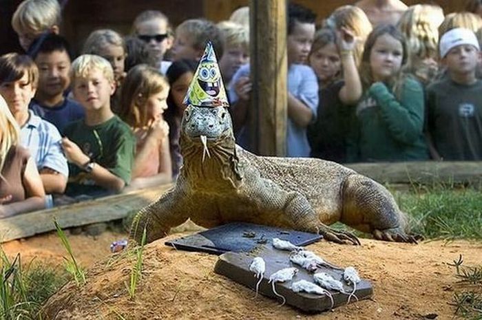 Acid Picdump (127 pics)