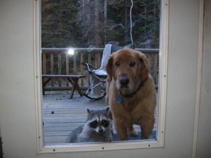 Acid Picdump (127 pics)