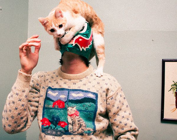 Cat Sweaters (40 pics)