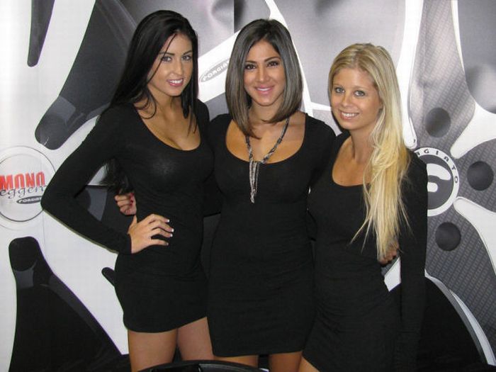 2010 SEMA Show Babes (25 pics)