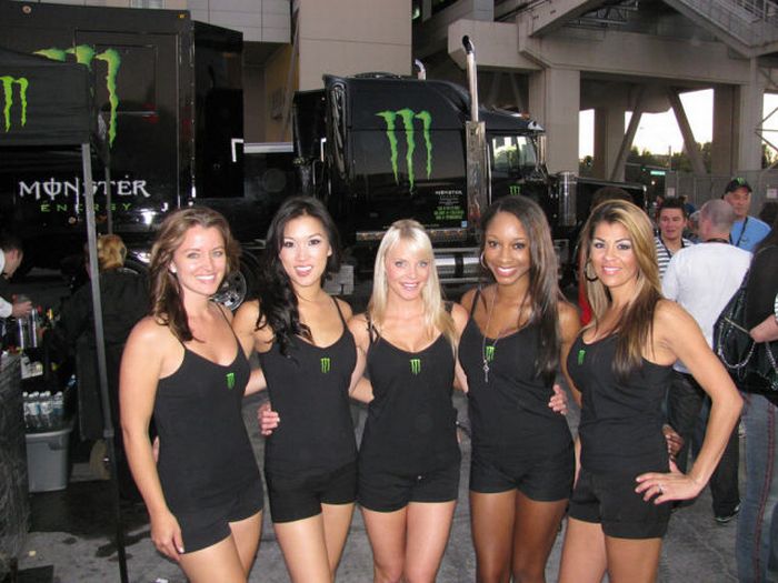 2010 SEMA Show Babes (25 pics)
