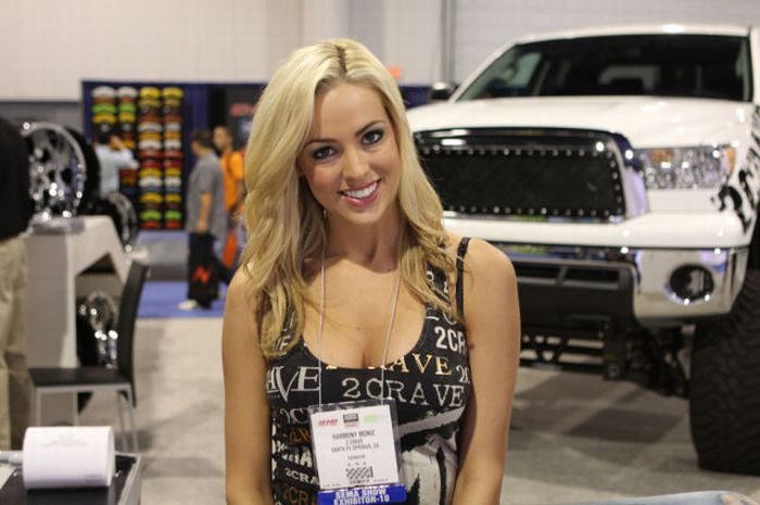2010 SEMA Show Babes (25 pics)