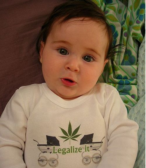 Babies Wearing Naughty T-Shirts (20 pics)