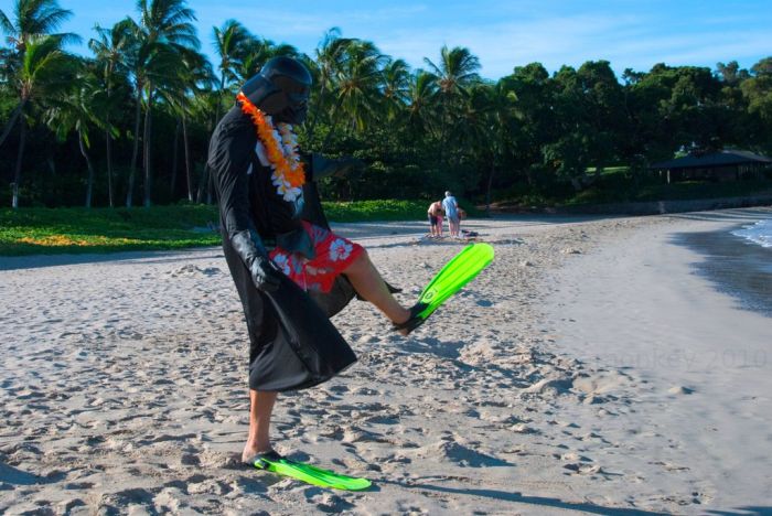 Darth Vader’s Hawaiian Vacation (24 pics)