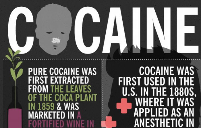 Facts About Cocaine (infographic)