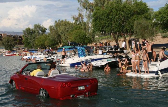 Watercars (18 pics)