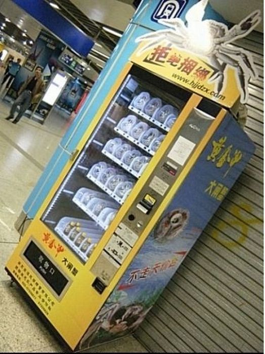 Crab Vending Machines in China (9 pics)