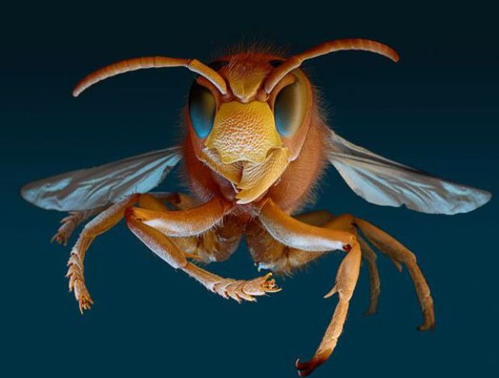 Tiny Monsters. Part 2 (22 pics) Tiny Monsters. Part 2 (22 pics)