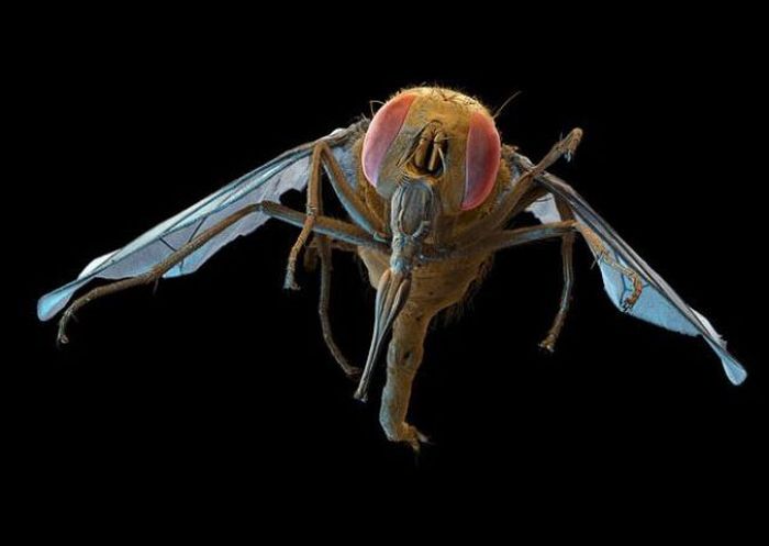 Tiny Monsters. Part 2 (22 pics) Tiny Monsters. Part 2 (22 pics)