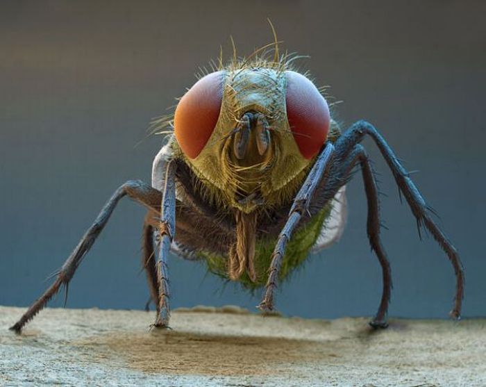 Tiny Monsters. Part 2 (22 pics) Tiny Monsters. Part 2 (22 pics)