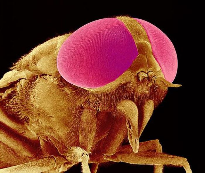 Tiny Monsters. Part 2 (22 pics)