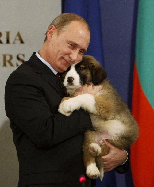 Vladimir Putin With Animals (24 pics)