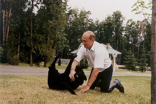 Vladimir Putin With Animals (24 pics)