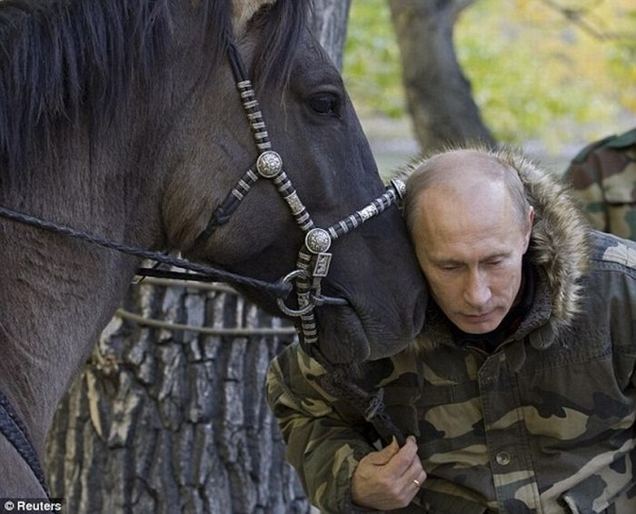 Vladimir Putin With Animals (24 pics)