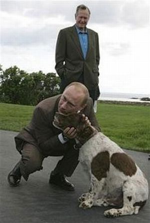 Vladimir Putin With Animals (24 pics)