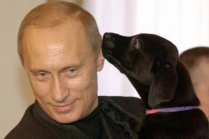 Vladimir Putin With Animals (24 pics)