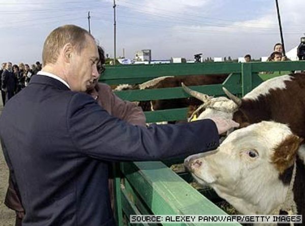 Vladimir Putin With Animals (24 pics)