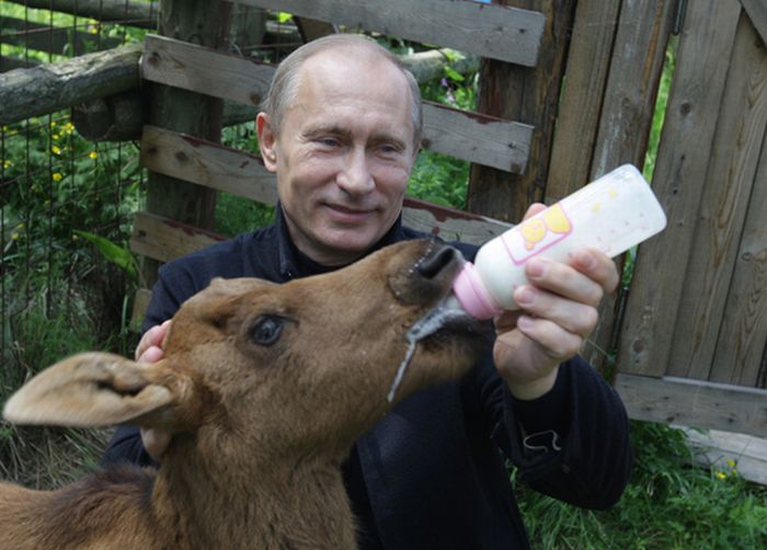 Vladimir Putin With Animals (24 pics)