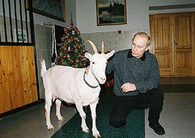 Vladimir Putin With Animals (24 pics)