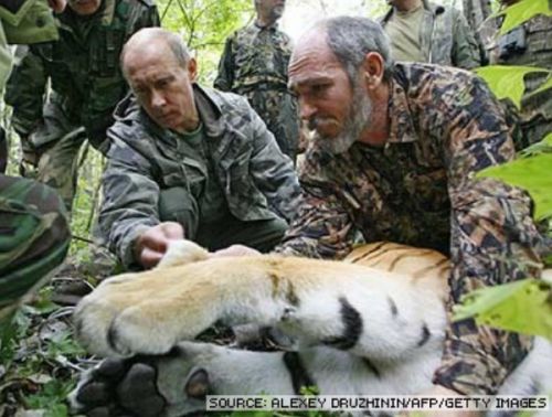 Vladimir Putin With Animals (24 pics)