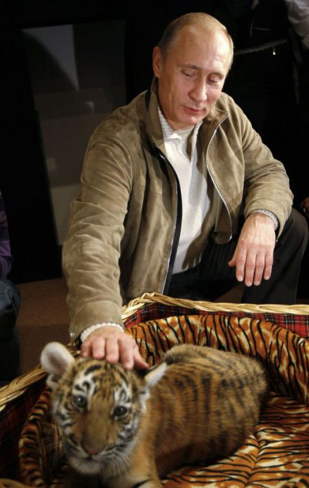 Vladimir Putin With Animals (24 pics)