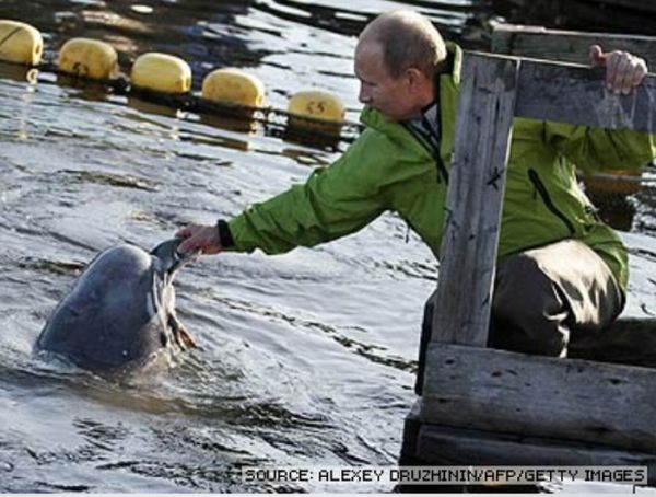 Vladimir Putin With Animals (24 pics)