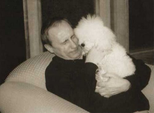 Vladimir Putin With Animals (24 pics)