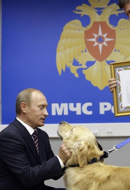 Vladimir Putin With Animals (24 pics)