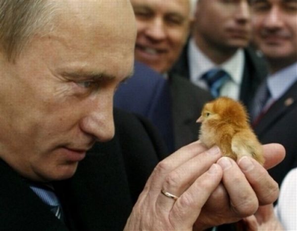 Vladimir Putin with a chick, just [pic]