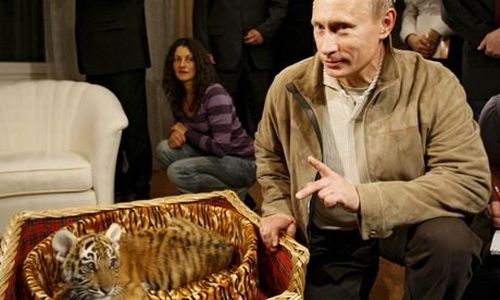 Vladimir Putin With Animals (24 pics)