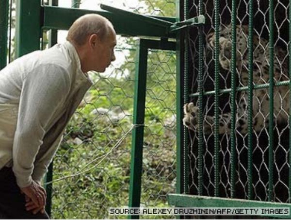 Vladimir Putin With Animals (24 pics)